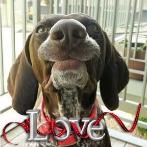 Meet your Posher, Rhonda